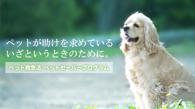 ペット救急法「ペットセーバープログラム」のご紹介