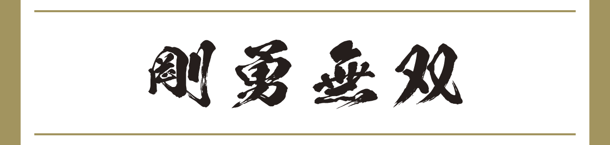 剛勇無双