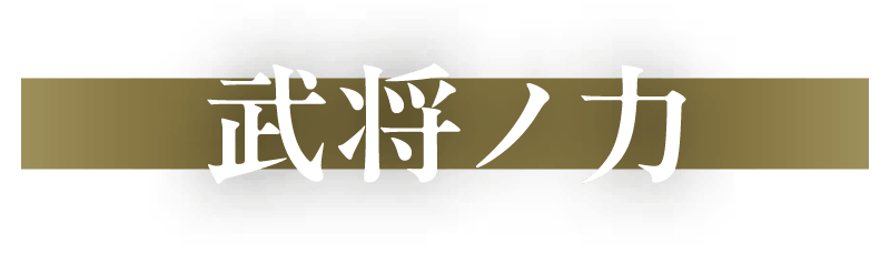 武将ノ力
